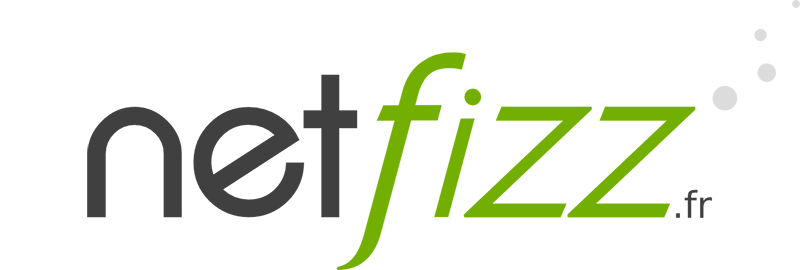 Logo Netfizz